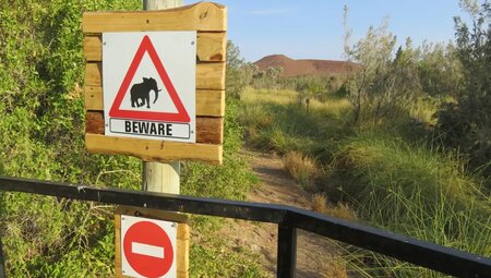 Namibia mit Egmont Strigl – Reise durch die Namib Wüste