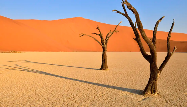 Namibia mit Egmont Strigl – Reise durch die Namib Wüste