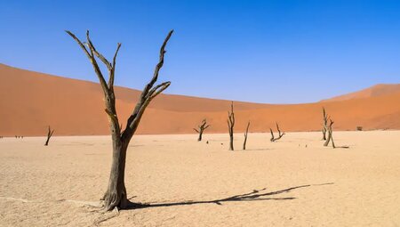 Namibia – Höhepunkte zwischen Kalahari und Namib