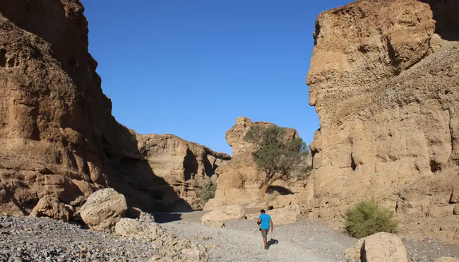 Namibia – Höhepunkte zwischen Kalahari und Namib