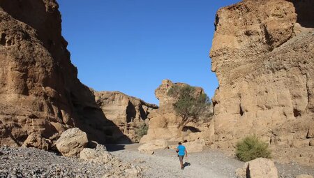 Namibia – Höhepunkte zwischen Kalahari und Namib