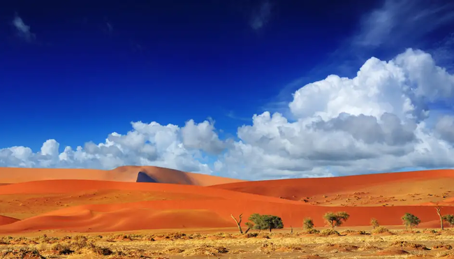 Namibia – Höhepunkte zwischen Kalahari und Namib