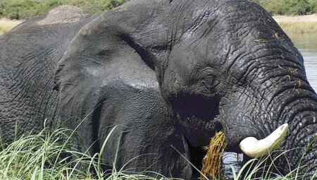 Namibia, Botswana – Erongo-Gebirge, Safari und Viktoriafälle