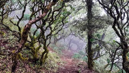 Kapverden – Afrikas Inseln über dem Wind