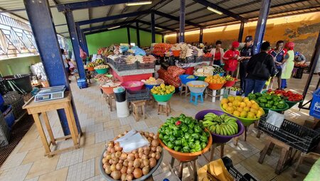 Kapverden – Santo Antao: Die große Insel-Überquerung