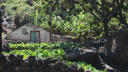 Kapverden – Santo Antao: Die große Insel-Überquerung