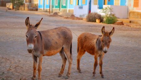 Kapverden – Südliche Perlen im Atlantik