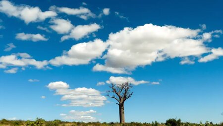 Madagaskar – Trekking durch die Wildnis