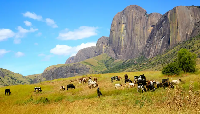 Madagaskar – Trekking durch die Wildnis