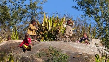 Madagaskar - Auf den Spuren der Lemuren