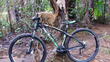 MTB - Madagaskar - Biken wo der Pfeffer wächst