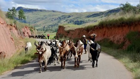 Madagaskar – MTB Reise vom Hochland bis zur Küste