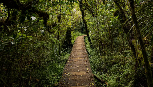 La Reunion – Hüttentrekking im Mafate Talkessel