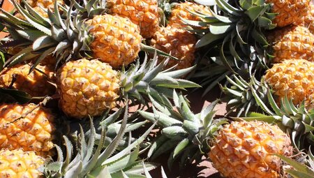 La Reunion – Vulkantrekking im Indischen Ozean