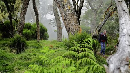 La Reunion – Vulkantrekking im Indischen Ozean