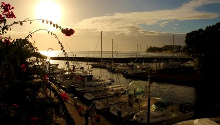 La Reunion – Wandern im Tropischen Europa