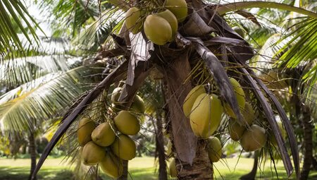 Seychellen – Inselparadies aktiv erkunden