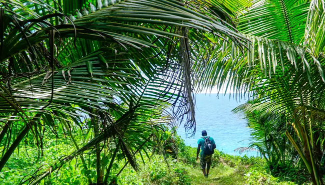 Seychellen - Naturwunder zwischen Traumstränden und Granitfelsen