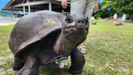 Seychellen – Inselparadies aktiv erkunden