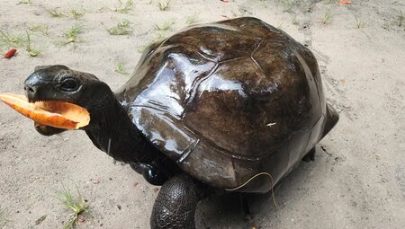 Seychellen – Inselparadies aktiv erkunden