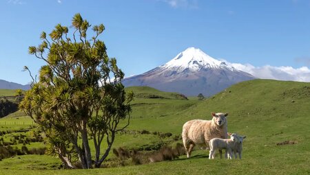 Neuseeland – Vielfalt der Nord- und Südinsel