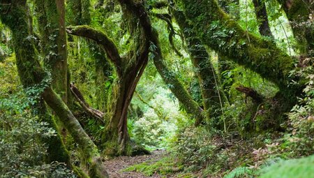 Neuseeland – Trekking Routeburn, Heaphy & Abel Tasman