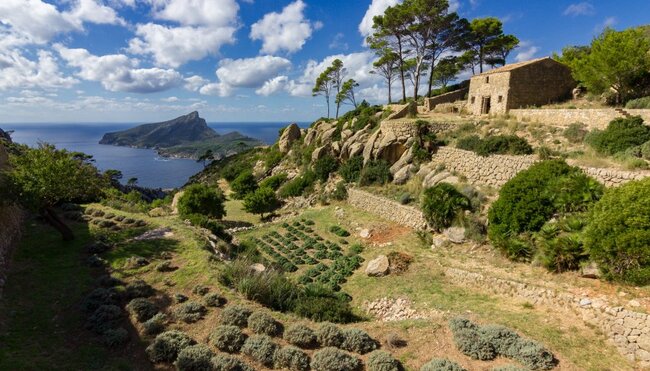 Blick auf die Insel Sa Dragonera auf Mallorca