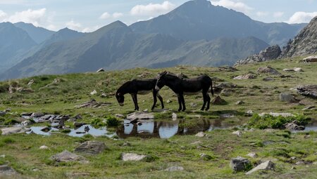 Andorra - Wanderoase der Pyrenäen
