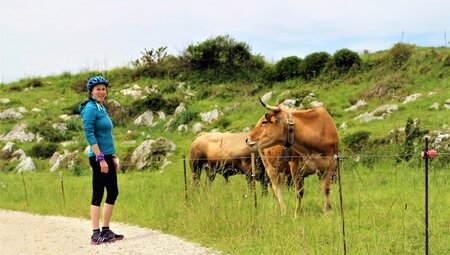 Selfguided Biken Spanien - Mit dem Trekkingrad entlang der grünen Nordküste