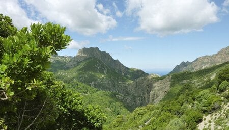 Korsika - Gebirge im Meer