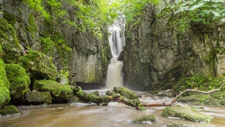 Wasserfall im tiefen Wald  Catrigg Force, Yorkshire Dales