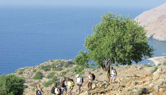 Griechische Inseln - Inselhopping aktiv auf Poros und Hydra