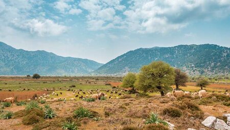 Kreta - Wandern auf dem E4 und in den Lefka Ori