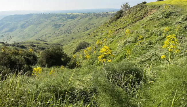 Nordzypern - Kleinod am Rande Europas