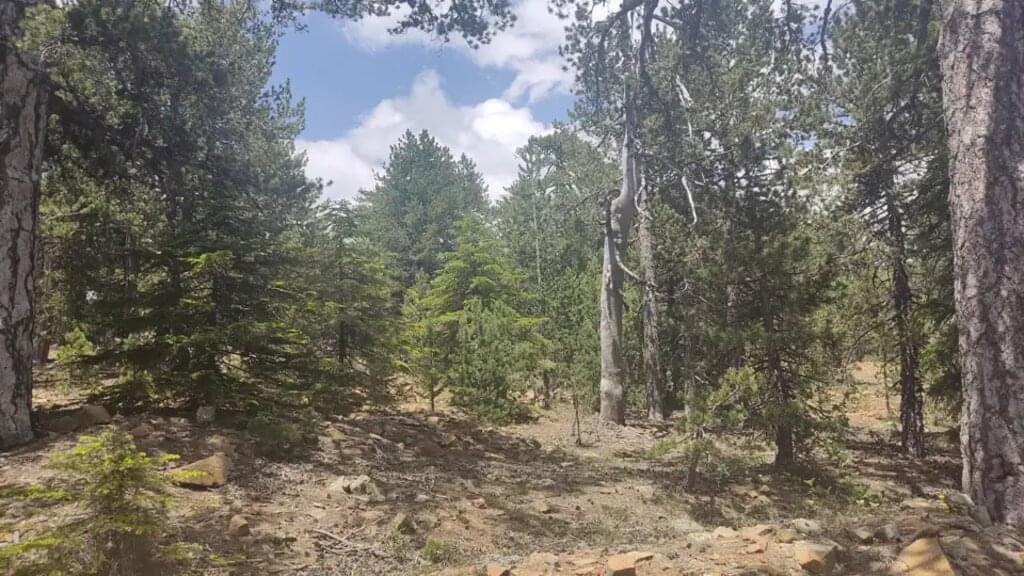 Zypern – Troodos-Gebirge und Mittelmeer