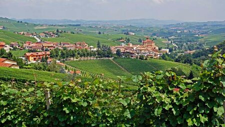 Piemont - Langhe: Trekking durch die Weinberge Piemont - Langhe: Trekking durch die Weinberge