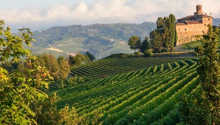 Piemont - Langhe: Trekking durch die Weinberge Piemont - Langhe: Trekking durch die Weinberge