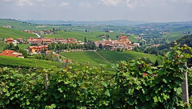 Piemont – Langhe: Trekking durch die Weinberge