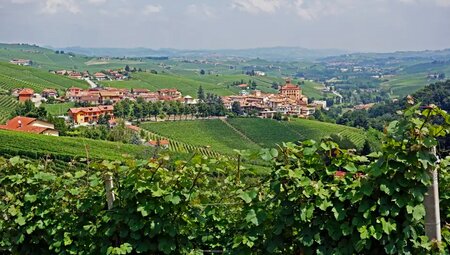 Piemont – Langhe: Trekking durch die Weinberge