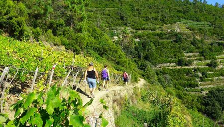 Cinque Terre - Die malerischen Dörfer erwandern