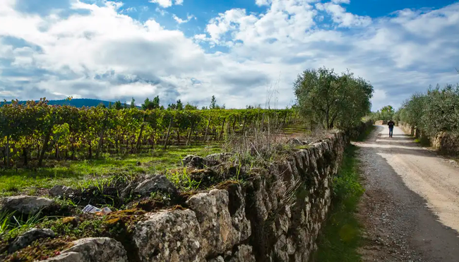 Toskana – Pilgerweg Via Francigea