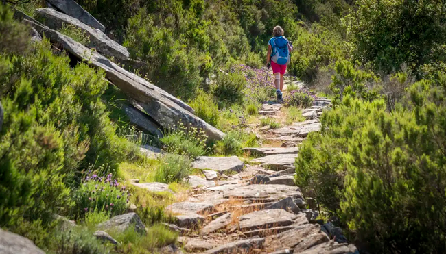 Elba – Große Inselüberquerung auf dem GTE
