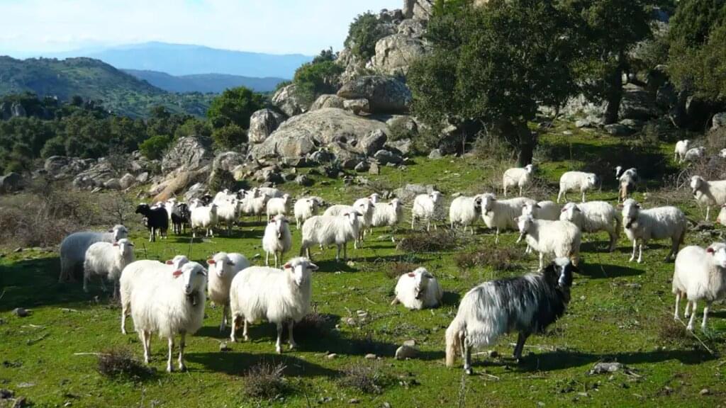 Sardinien – Kontraste der Ost- und Westküste