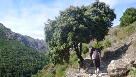 Korsika – Zentrale Bergwelt und Nordküste Korsika – Zentrale Bergwelt und Nordküste