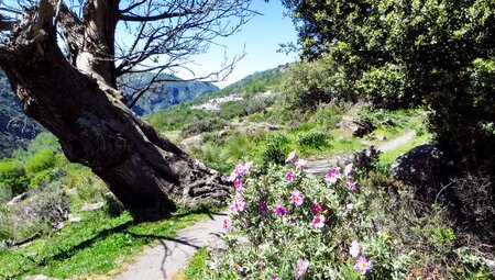 Andalusien – Al-Andalus und die Sierra Nevada