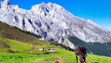 Asturien - Trekking in den Picos de Europa