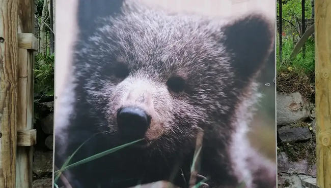 Asturien – Trekking in den Picos de Europa