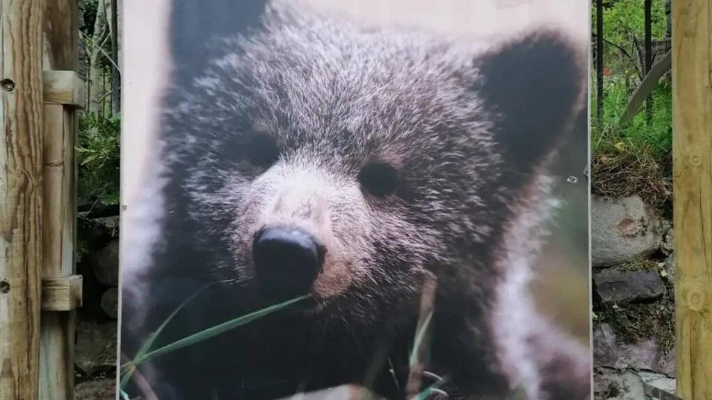 Asturien – Trekking in den Picos de Europa