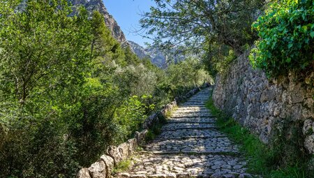 Mallorca – Wandern im Tramuntana Gebirge