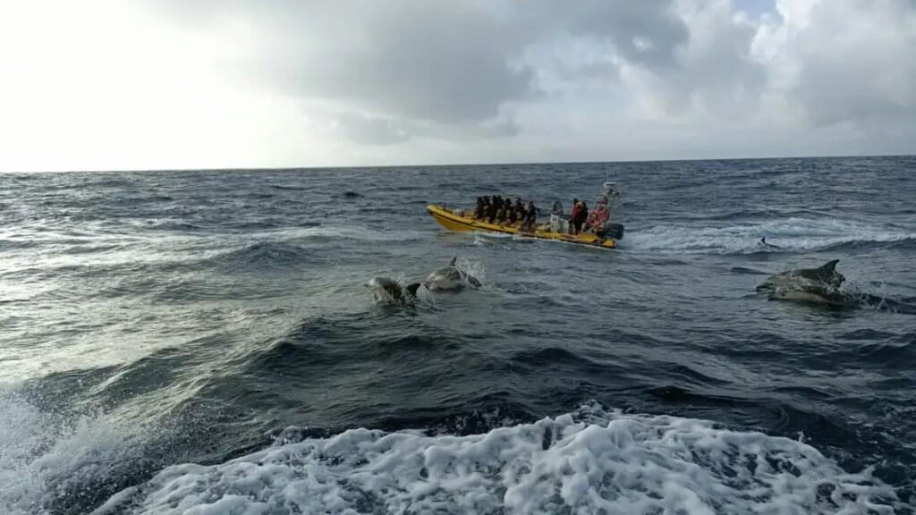 Azoren – Wandern auf den Vulkaninseln im Atlantik